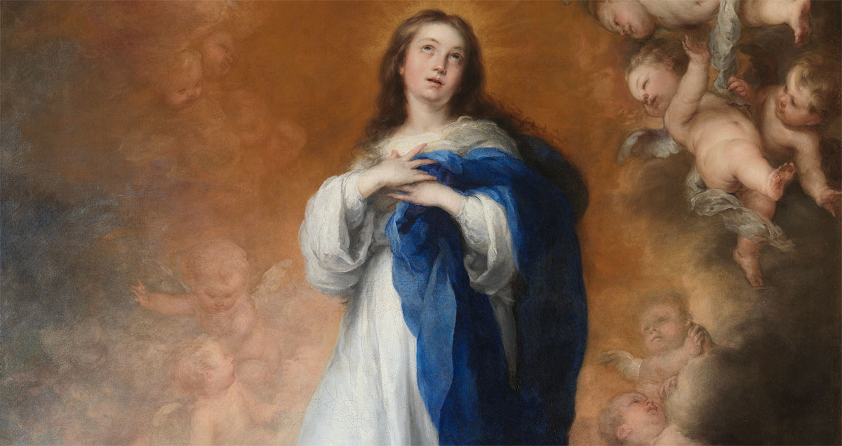 Feast Of The Immaculate Conception Of The Blessed Virgin Mary December 8th Mater Dei