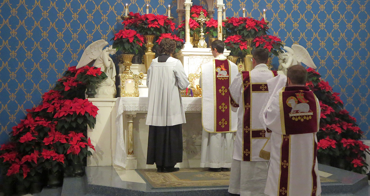 Christmas at Mater Dei
